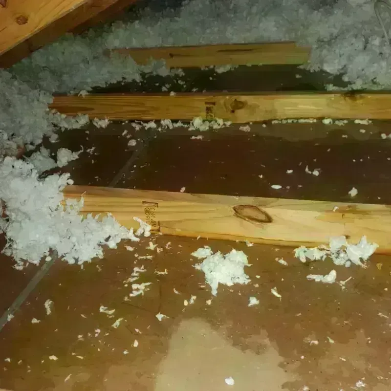 Attic Water Damage in Hazlehurst, MS